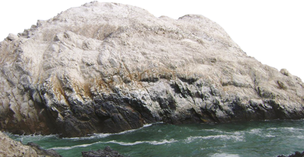 23_guano03