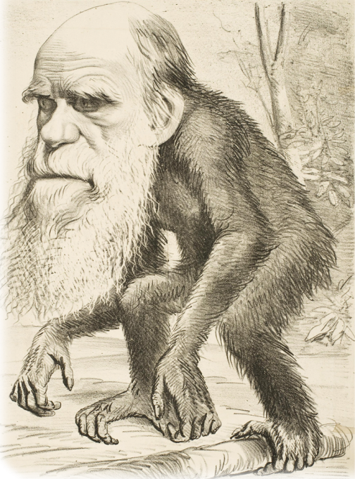 14_darwin01