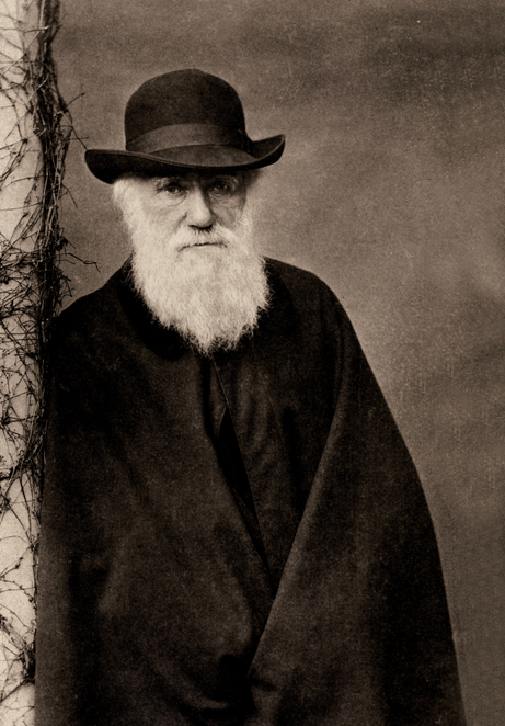 14_darwin02