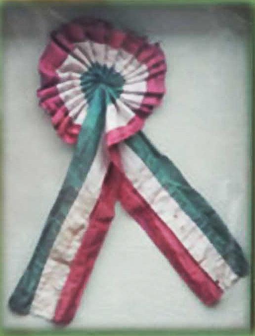 Coccarda tricolore del 1794 (Miniatura 516x681 px)