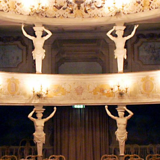 Teatro 700 Villa Aldrovandi Mazzacorati 1 (Miniatura 219x219 px)