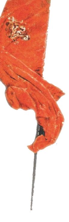 Stendardo (Miniatura 230x741 px)