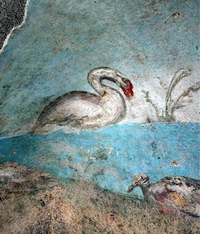 cigno (Miniatura 400x468 px)